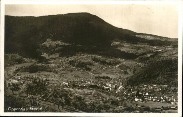 Oppenau Panorama