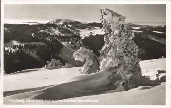 Feldberg Schwarzwald Blick zum Herhzogenhorn