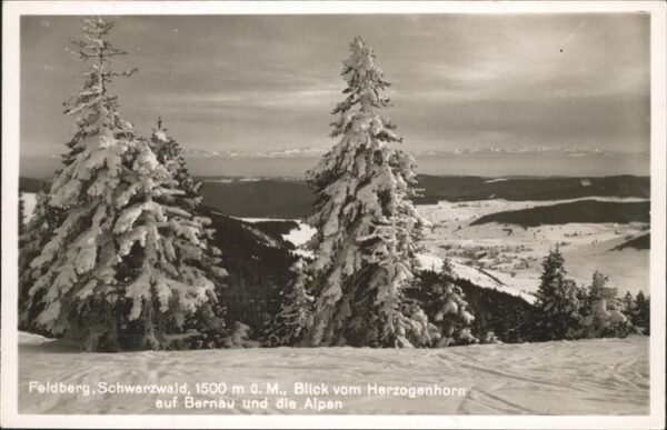 Feldberg Schwarzwald Blick vom Herzogenhorn auf Bernau und d