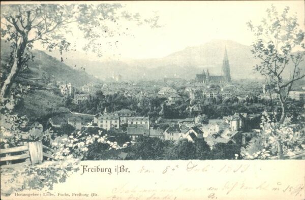 Freiburg Breisgau Stadtblick