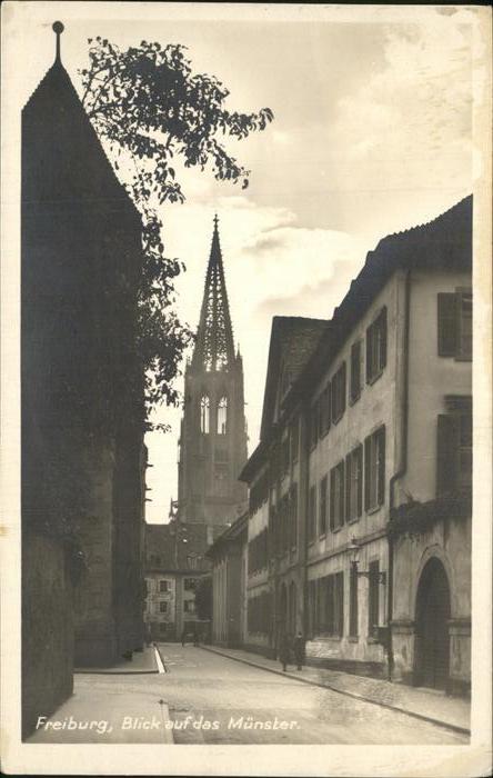 Freiburg Breisgau Münsterblick