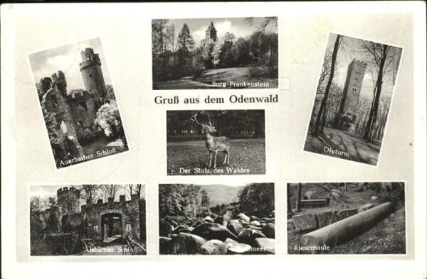 Odenwald Auerbacher Schloss Burg Frankenstein Ol