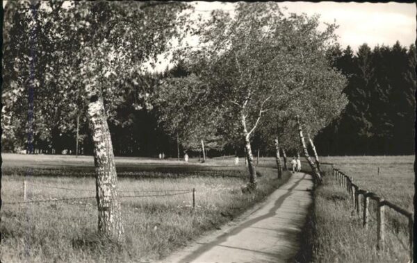 Bad Woerishofen Spazierweg im Kurpark