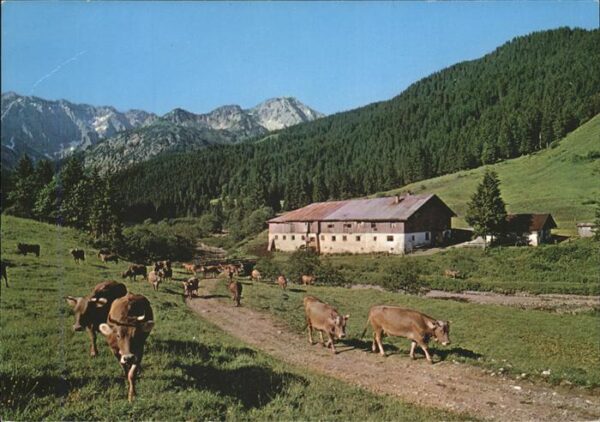Hindelang Mitterhaus im Retterschwang mit Nebelho