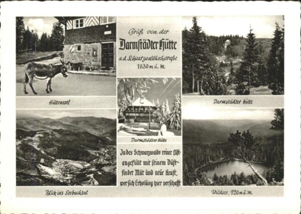 Seebach Ortenaukreis Darmstädter Hütte Hüttenesel Seebachtal