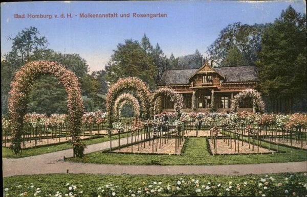 Bad Homburg Hoehe Molkenanstalt und Rosengarten