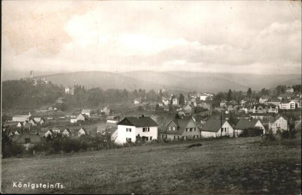 Koenigstein Taunus Panorama