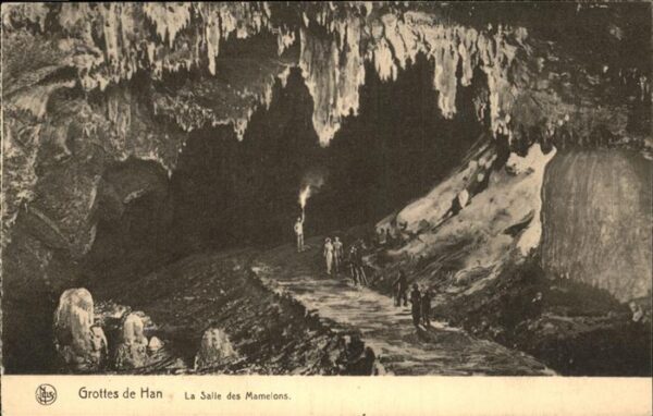 Hoehlen Caves Grottes Han Salle des Mamelons