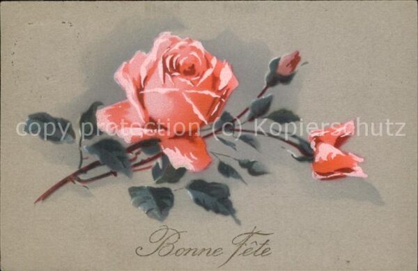 Rosen Bonne Fete