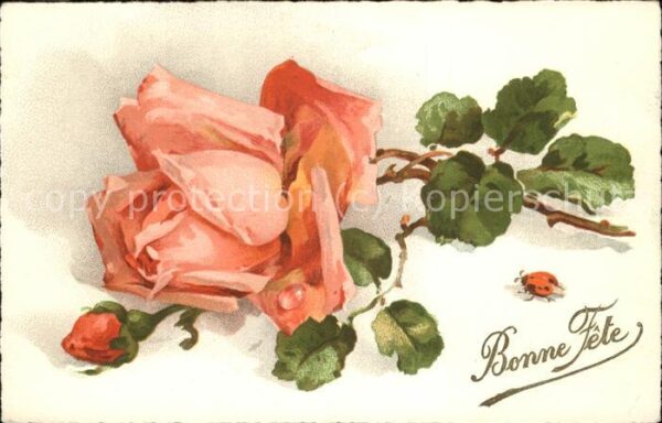 Rosen Marienkäfer Bonne Fete