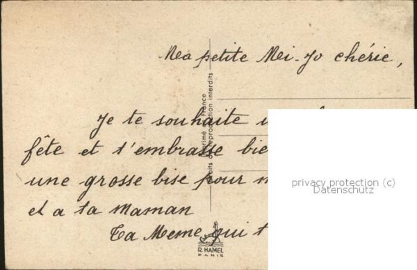 Rosen – Bild 2