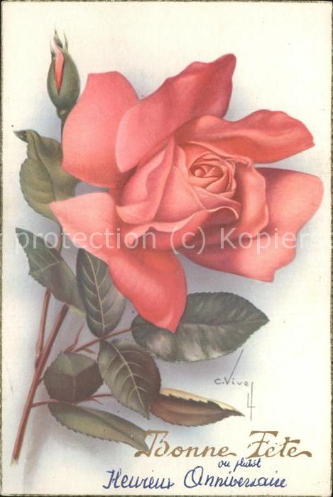 Rose Künstlerkarte