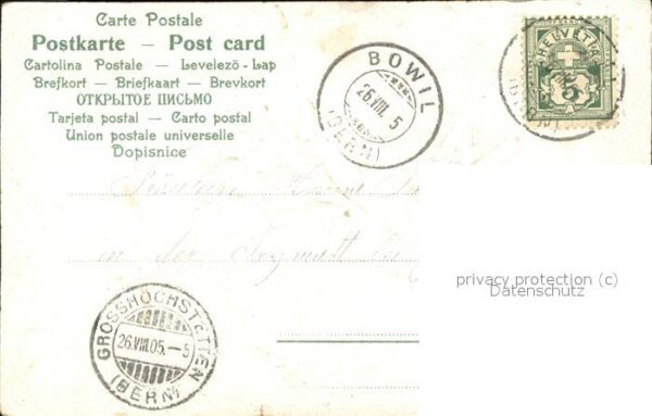 Brieftaube Carrier Pigeon voyageur Blumen – Bild 2