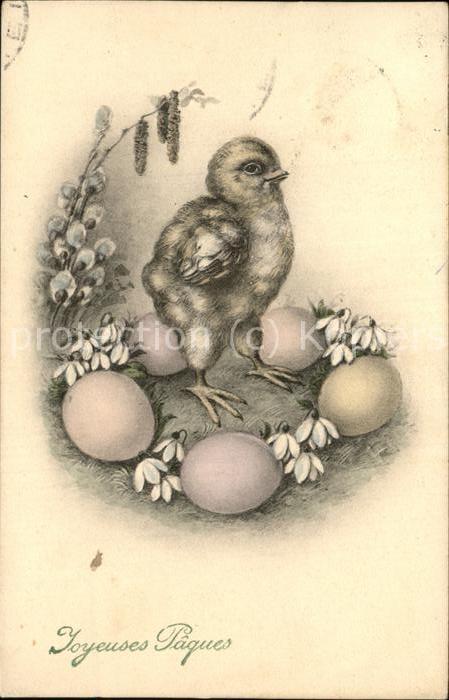 Ostern Easter Paques Küken Ostereier