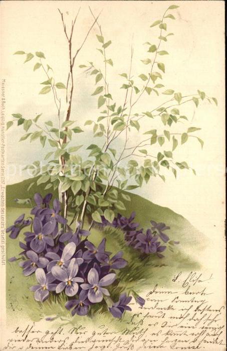 Verlag Meissner und Buch 1197 Blumen Veilchen