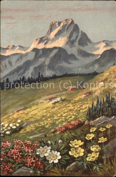 Kuenstlerkarte W. Früh Berge Blumen