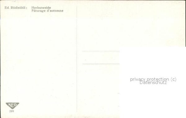 Kuenstlerkarte Ed. Rüdisühli Herbstweide – Bild 2