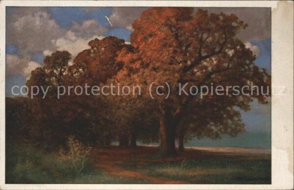 Baeume Trees Künstlerkarte Hermann Rüdisühli