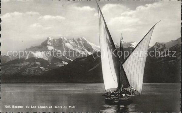 Segelboote Lac Leman Dents du Midi