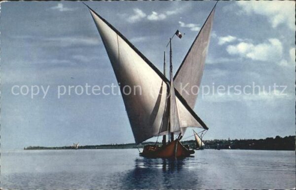 Segelboote Lac Leman voiles latines