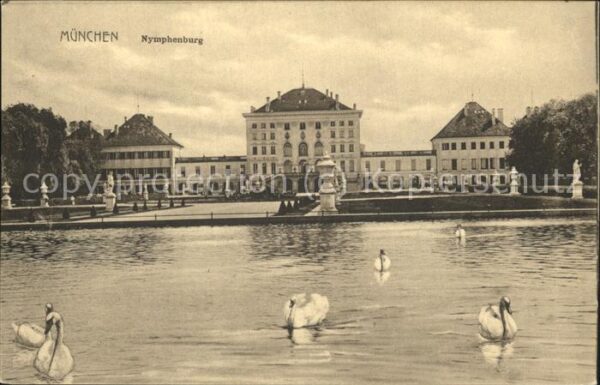 Muenchen Nymphenburg Schwan