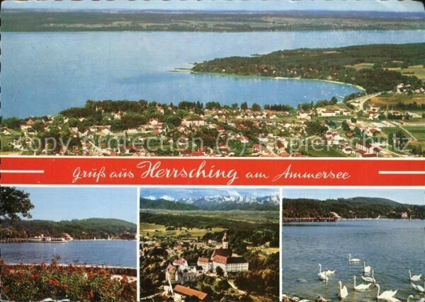Herrsching Ammersee See Schwan