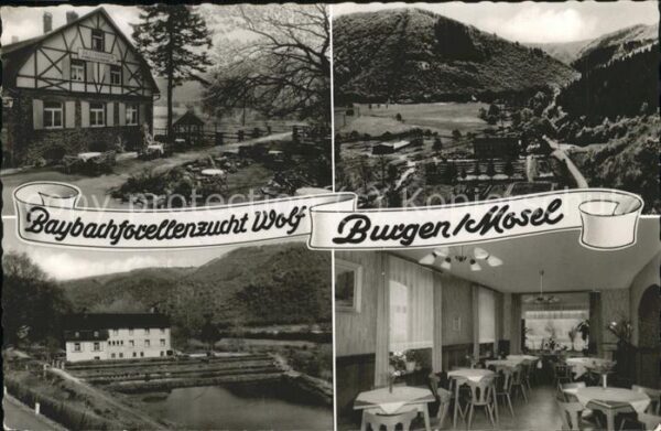 Burgen Mosel Baybachforellenzucht Wolf