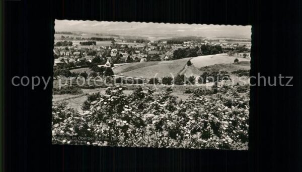 Waldbroel