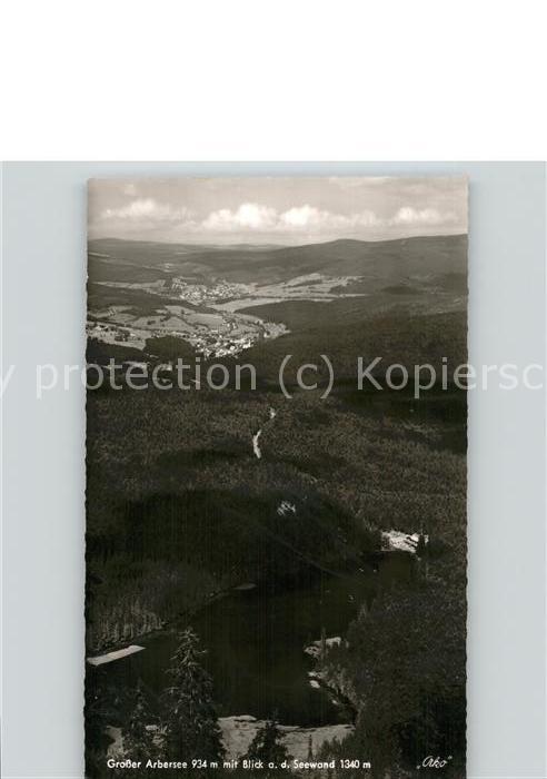 Bayerisch Eisenstein Grosser Arbersee Blick auf Seewand Baye