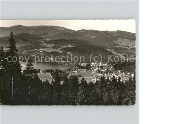 Titisee Panoramablick vom Hochfirst