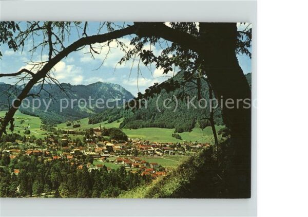 Ruhpolding Gesamtansicht mit Hochfelln und Western