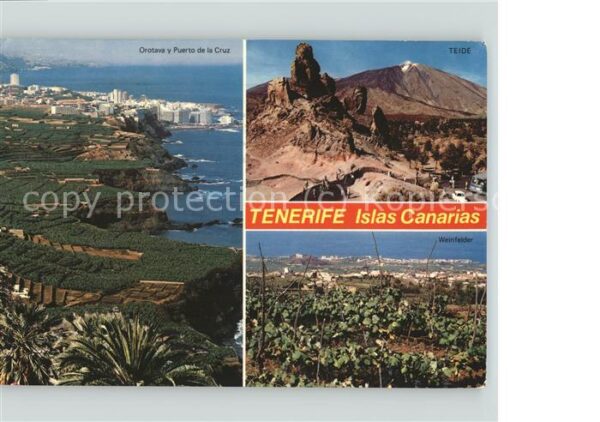 Puerto de la Cruz und Orotava Teide Vulkan Weinfelder