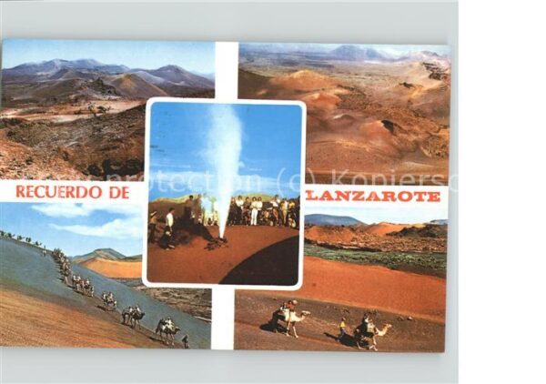 Lanzarote Kanarische Inseln Isla de los Volcanes Vulkan Kamel