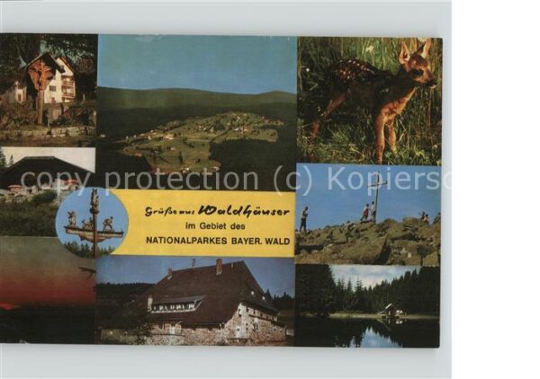 Waldhaeuser Neuschoenau Panorama Wegekreuz Rehkitz Lusen Gipfel