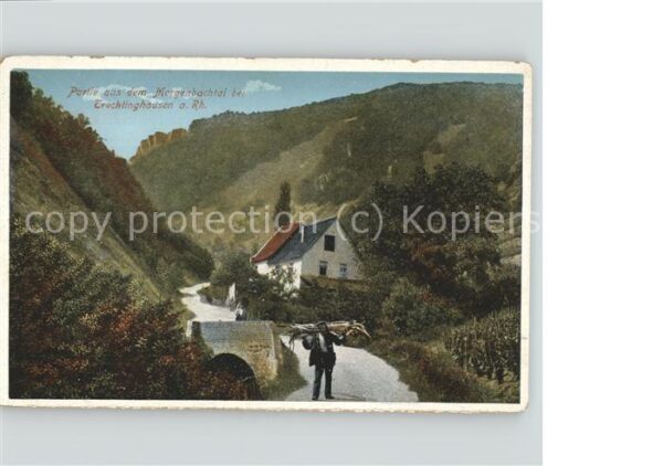Trechtingshausen Partie aus dem Morgenbachtal