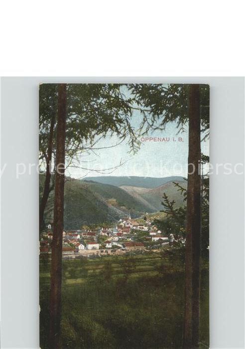 Oppenau Durchblick vom Waldrand
