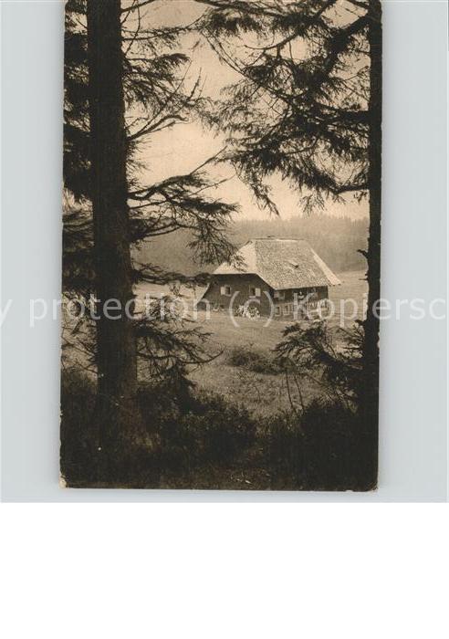 Schoenwald Schwarzwald ---