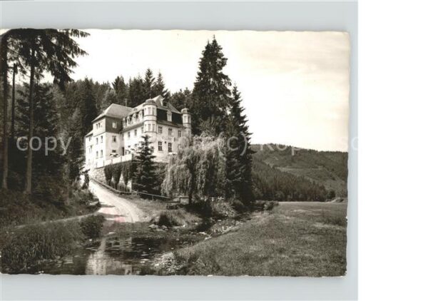 Bernstein Wald ---