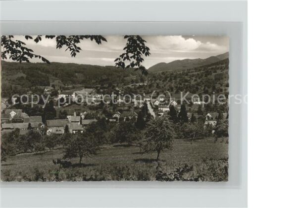 Kandern Panorama