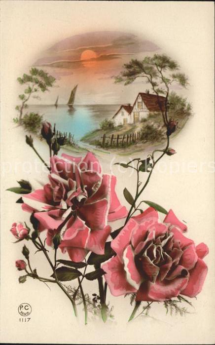 Rosen