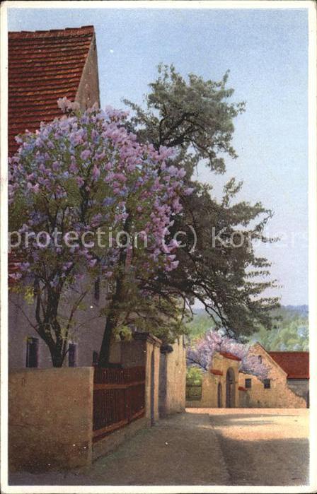 Verlag Photochromie Nr. 5202 Serie 378 Leipzig