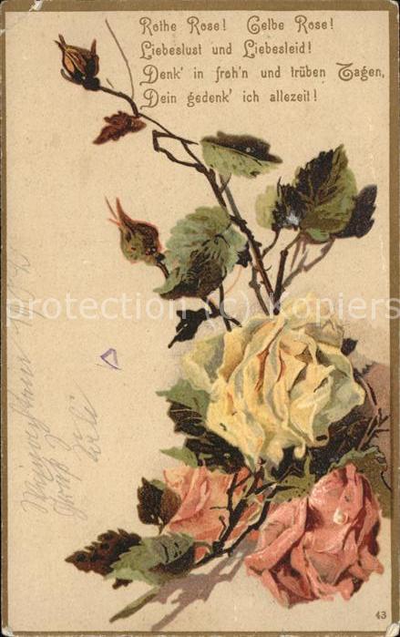 Blumengruesse Rosen