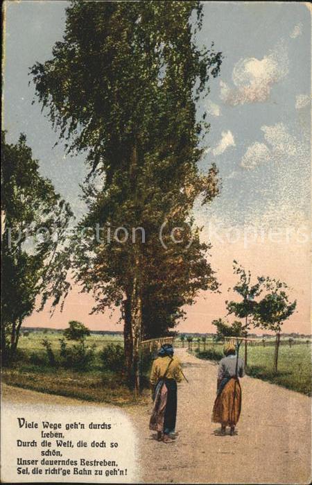 Baeume Trees Landwirtschaft Poesie