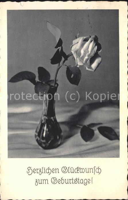Geburtstag Rose