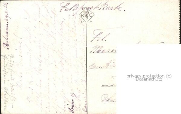 Typen Russland Pferd – Bild 2