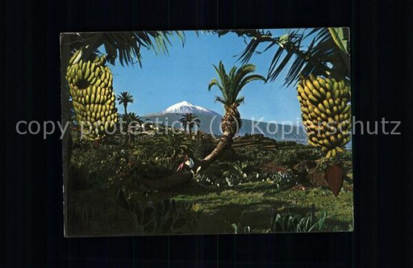 Bananen Tenerife Teide