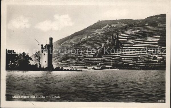 Ehrenfels Bingen Mäuseturm u.Ruine Ehrenfels