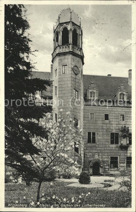 Wittenberg Lutherstadt Im Garten des Lutherhauses