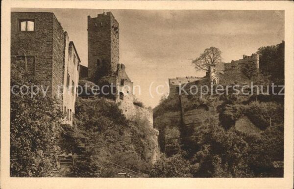 Wertheim Main Schlossruine