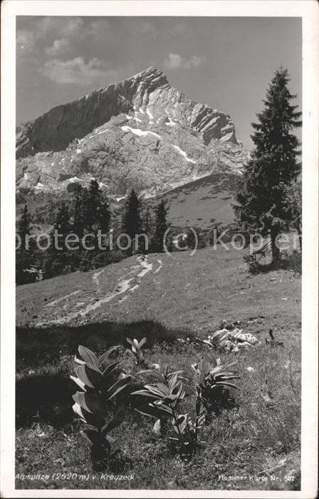 Kreuzeck Blick vom Kreuzeck auf die Alpspitze